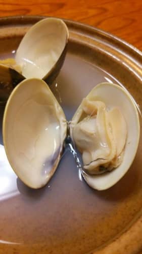 はまぐりだけじゃない 桑名のおすすめ名物グルメとお土産を紹介 はまぐりだけじゃない 桑名のおすすめ名物グルメとお土産を紹介