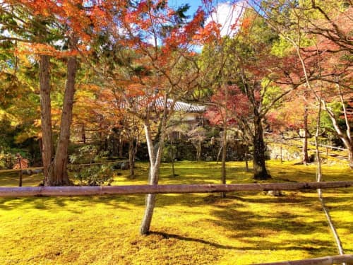 神護寺の紅葉２