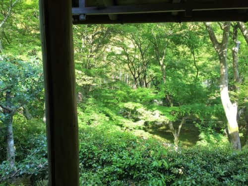 本堂の庭2