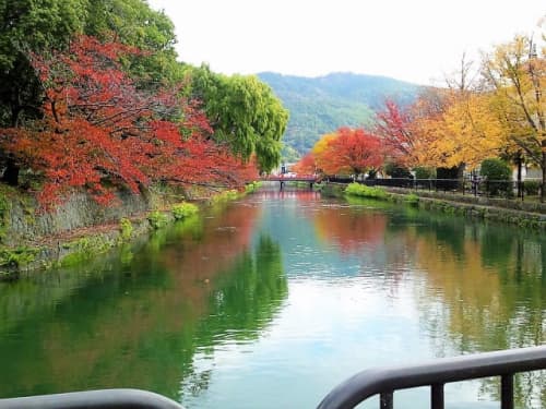 岡崎の疏水