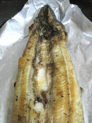 龍川魚商店 白焼き うなぎ