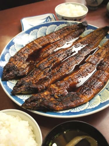 富松うなぎ 蒲焼 鰻