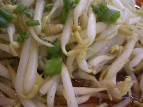 マレーシアのもやし(タウゲ)