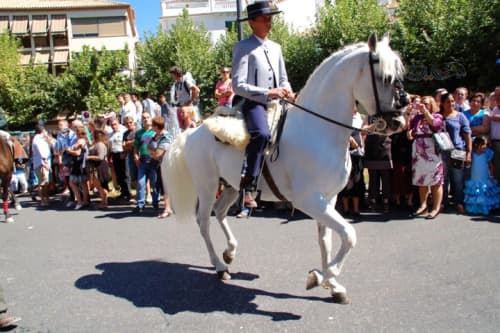 スペインの民族衣装はエリアで違う 在住者が闘牛士に衣装や素敵なショップ レンタル情報も紹介 スペインの民族衣装はエリアで違う 在住者が闘牛士に衣装や素敵なショップ レンタル情報も紹介