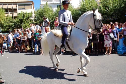 スペインの民族衣装はエリアで違う 在住者が闘牛士に衣装や素敵なショップ レンタル情報も紹介