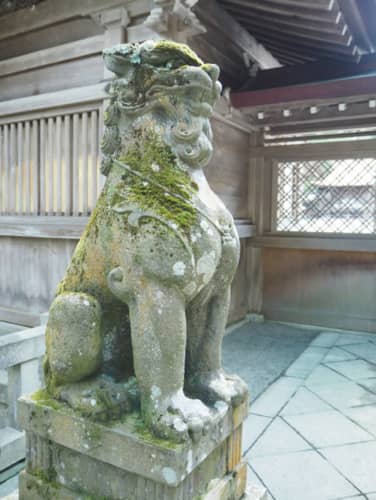 弥彦神社の狛犬