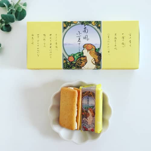 高知のお土産でインパクトあるものはこれ 女子受け間違いなしのお菓子を紹介 高知のお土産でインパクトあるものはこれ 女子受け間違いなしのお菓子を紹介