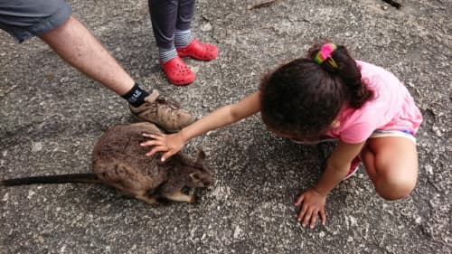 ワラビーと子供