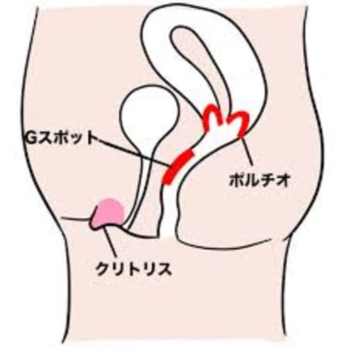 Gスポットの位置