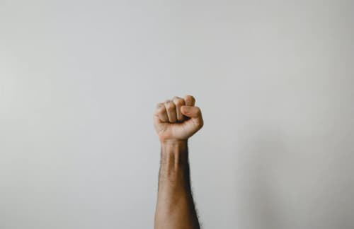 fist