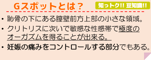 Gスポットとは？