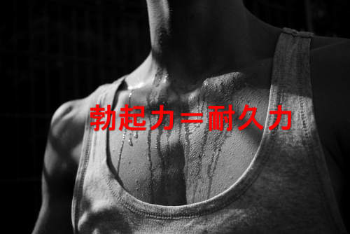 チモシンベータ4の目的は何ですか