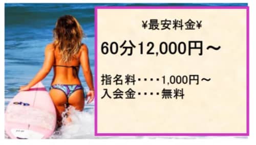 ミネルバの料金表