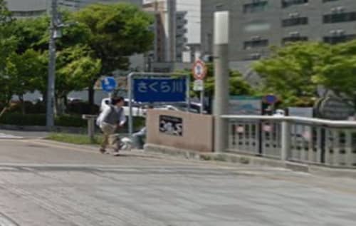 さくら川