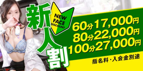 秘書コレクションの特徴