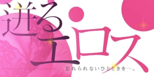 ドレスデンの特徴・料金システム