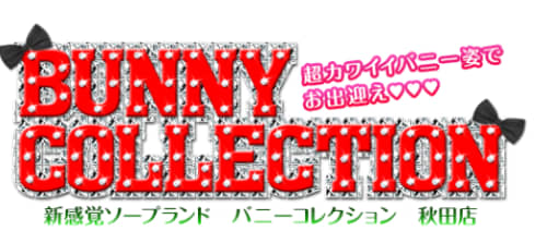 バニーコレクション秋田店