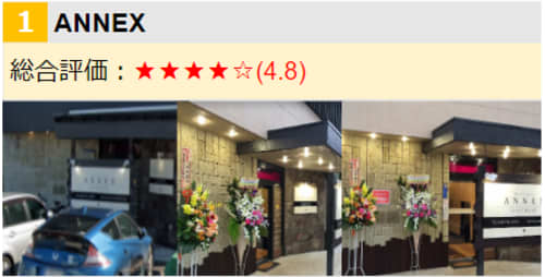 ANNEX