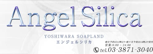 公式