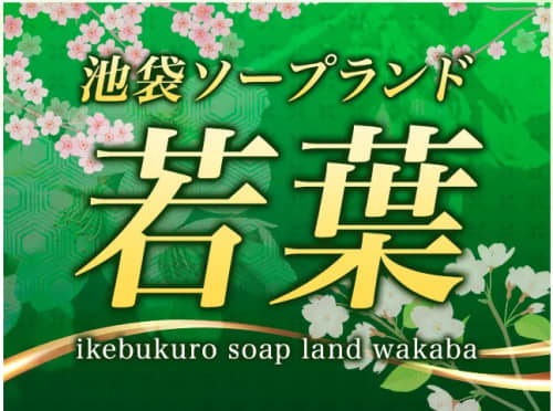 公式
