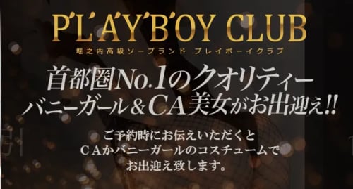 公式