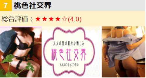 桃色社交界