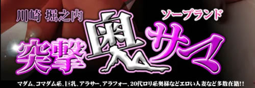 公式