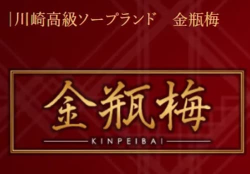 公式