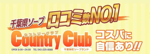 公式