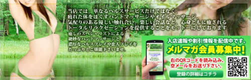 公式