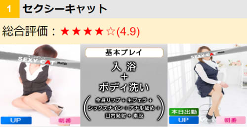 セクシーキャット