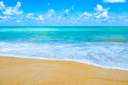 海の画像