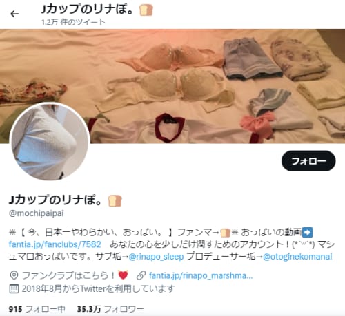 ツイッターの切り抜き