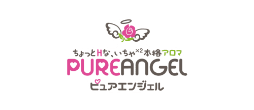 公式