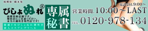 びしょぬれ新人秘書_ロゴ