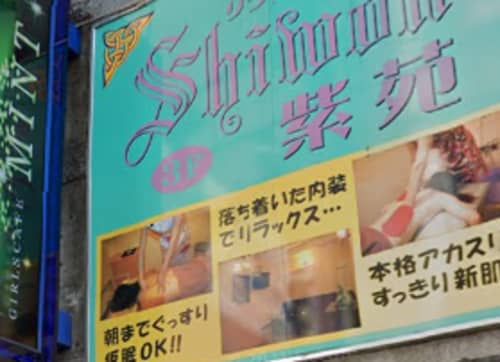 紫苑