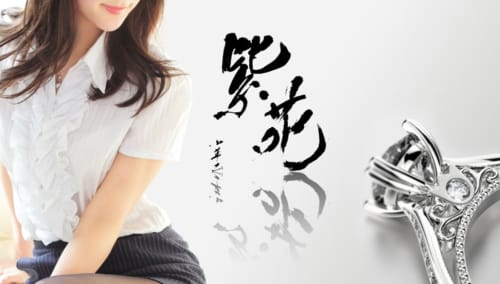 紫苑 -shion-