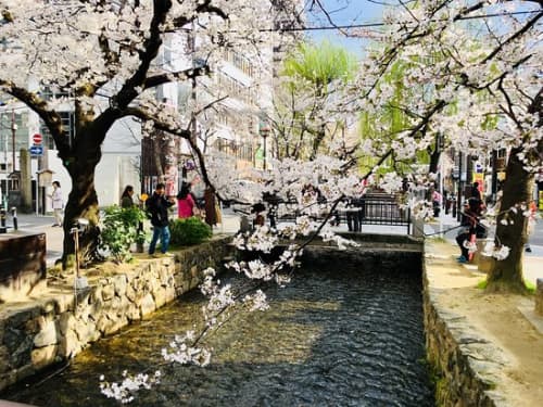 木屋町通り