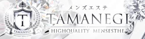 TAMANEGI(タマネギ)
