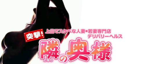突撃!隣の奥様!