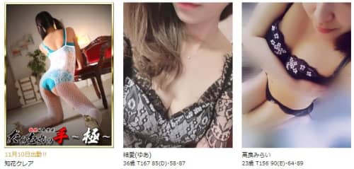 たわむれの手~極~_女性一覧
