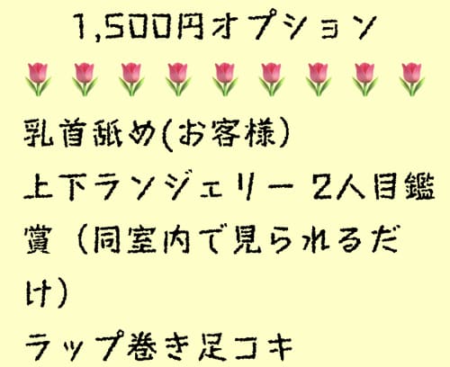 オプション