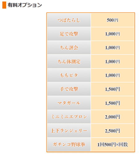 有料オプション