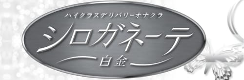シロガネーテ白金