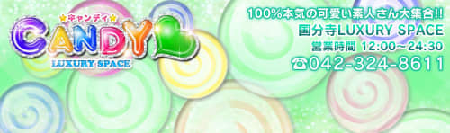 公式
