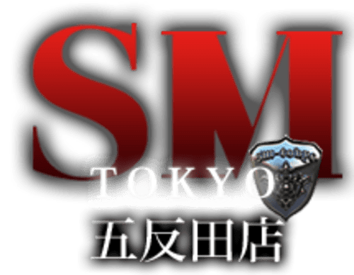 公式