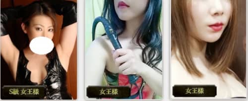 公式