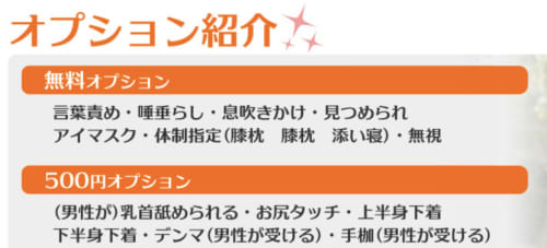 オプション