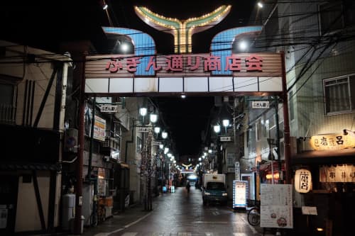 蕨