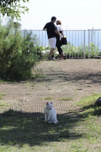 悪用厳禁 遊び上手がやっている二股のバレない実践方法総まとめ